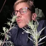Daniel Lloyd Davies - @daniel_lloyd_davies - Instagram
