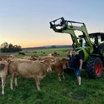 Daniel Locher - @limousinzucht.locher - Instagram
