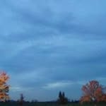 Daniel Lockaby - @lockabydaniel - Instagram