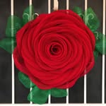 Amie Daniello - @daniellodesignsllc - Instagram