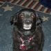 Daniel L. Logue - Facebook