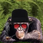 Daniel Logue - @daniellogueyt - Instagram