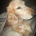 Daniel Logue - Facebook