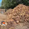 Daniel Loiselle - @daniel.loiselle - TikTok