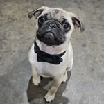 Daniel Lorusso - @_daniel.jpeg_ - Instagram