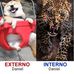 Daniel Lara - Facebook