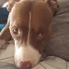 Daniela Lo Sasso - @danielalosasso9 - TikTok