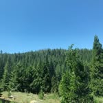 Daniel Losh - @dnl.o7 - Instagram