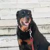 Daniel Losito653 - @daniellosito653 - TikTok