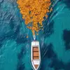 Daniela loup - @daniela.loupe - TikTok