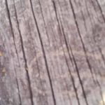 Daniel Lovatt - @y3astmaster - Instagram