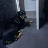daniel.lovatt38 - @daniel.lovatt38 - TikTok