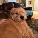 Daniel Lovelady - Facebook