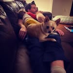 Daniel Lovelady - @dlovlady - Instagram