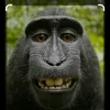 Daniel - @daniellowden7 - TikTok