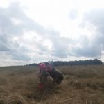Daniel Lowe - @daniel.lowe.75491 - Instagram