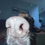 Daniel Lowndes - @daniel.lowndes - Instagram