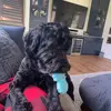 Daniel Lowndes - @daniel_lowndes - TikTok