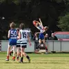 daniellowther86 - @daniellowther86 - TikTok