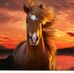 Daniel Lozoya - Facebook