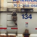 Daniel Luberda - @luberda.daniel - Instagram
