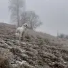 danielluberda58 - @danielluberda58 - TikTok