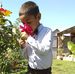 Daniel Lucaciu - Facebook