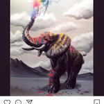 Daniel lucchesi - @daniel.lucchesi - Instagram