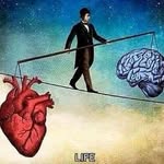 Domingo Daniel Lucchesi - @domingodaniellucchesi - Instagram