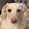 daniellucido06 - @daniellucido6 - TikTok