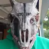 Daniel Ludes - @daniel.ludes - TikTok