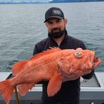 Daniel Caricaburu-Lundin - @click_bait_customs - Instagram