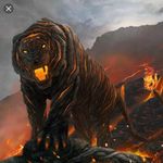 Daniel Lunsford - @lunsford558 - Instagram