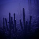 Daniel Lunsford - @dnlunsford122 - Instagram