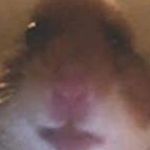Daniel Lunt - @daniel_lunt420 - Instagram
