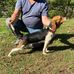 Dan Lykins - Facebook