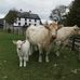 Daniel Lynam - Facebook