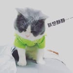Daniel Lyu - @jol1223 - Instagram