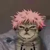 kirtdanielmabini - @kirtdanielmabini - TikTok