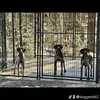 danielmac1 - @danielmac1 - TikTok