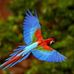 Daniel Macal - Facebook