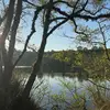 Daniel C Macaulay - @daniel.c.macaulay - TikTok