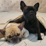 Daniel MacEachern - @daniel.maceachern - Instagram