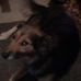 Daniel Macha - Facebook