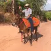 daniel machado - @daniel.machado988 - TikTok