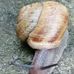Daniel Machowski - Facebook