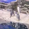 Daniel - @danielmacht11 - TikTok