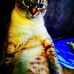 Daniel Maciag - Facebook