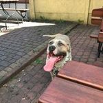 Daniel Maciejewski - @d.maciejewski1985 - Instagram