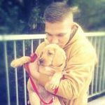 Daniel Macik - @danielmacik - Instagram